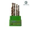 تصویر  مته آهن مجموعه ۱۰ عددی سیلور مدل SILVER YPM-2-10MM-GT-BB10-10 PCS